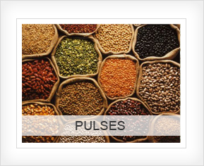 Pulses